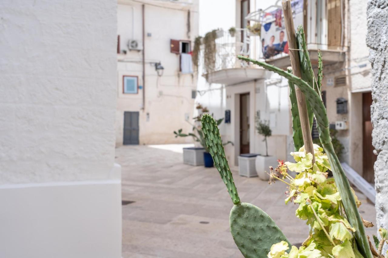 Wineart House, Terracielo Indipendente Nel Centro Di Monopoli Διαμέρισμα Εξωτερικό φωτογραφία